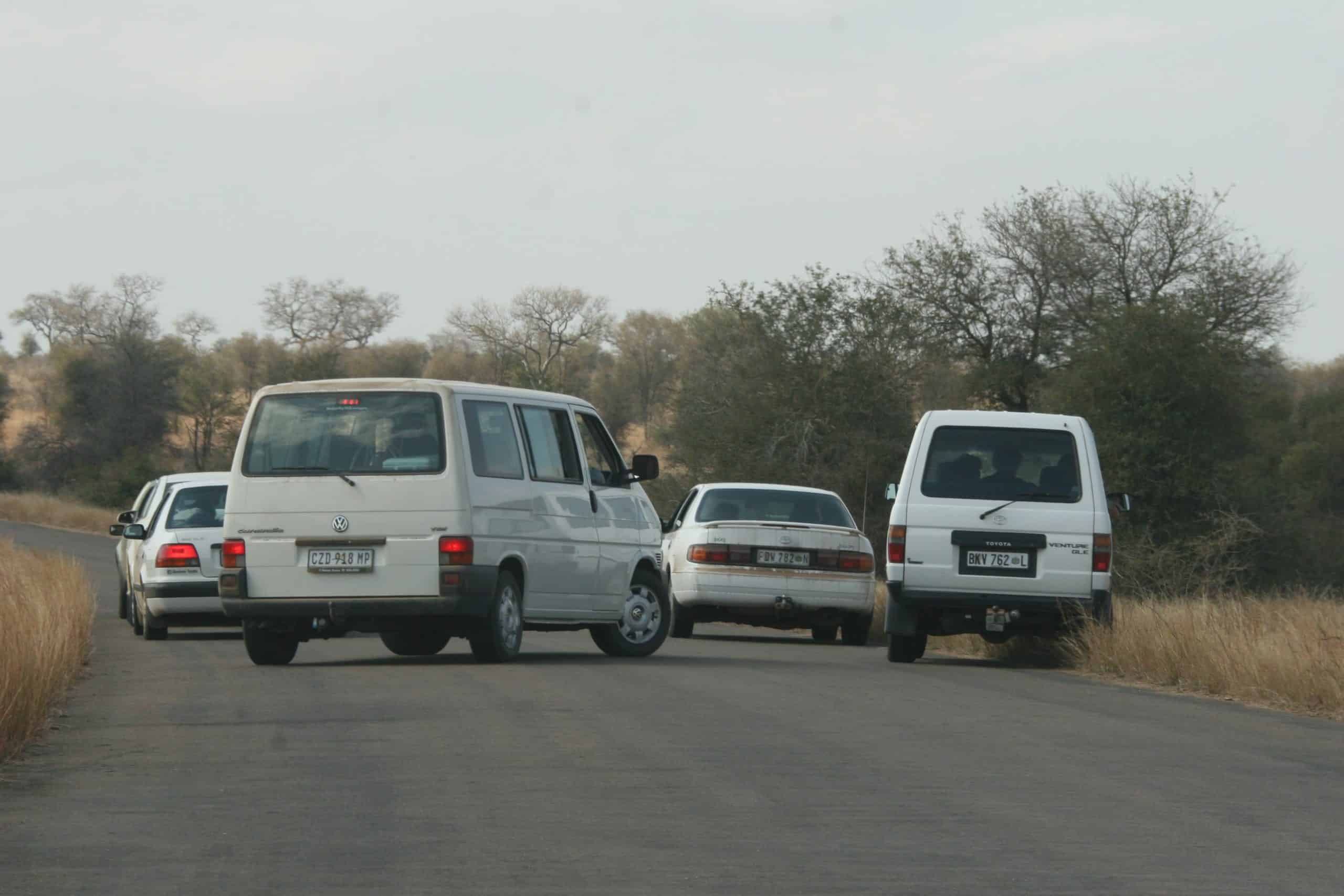 Traffic on Kruger sighting