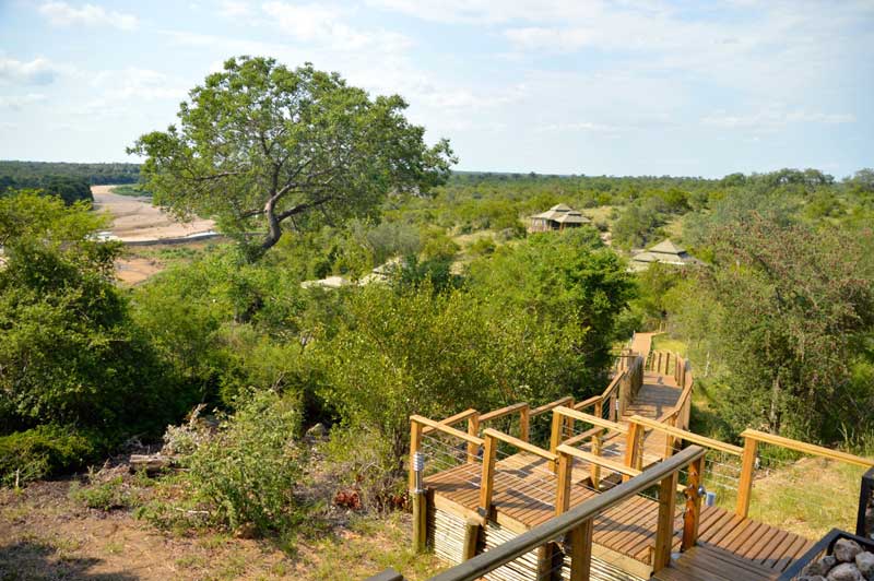 View from Simbavati Hilltop Lodge