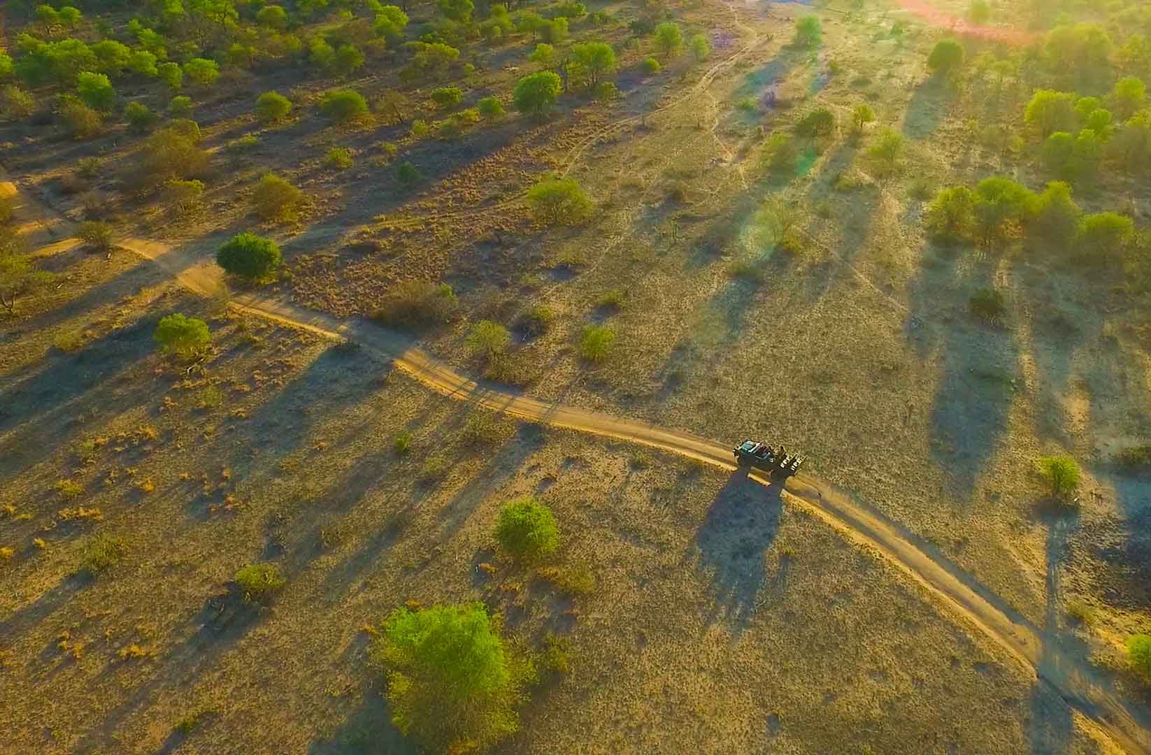 Game drive from drone, Africa on Foot