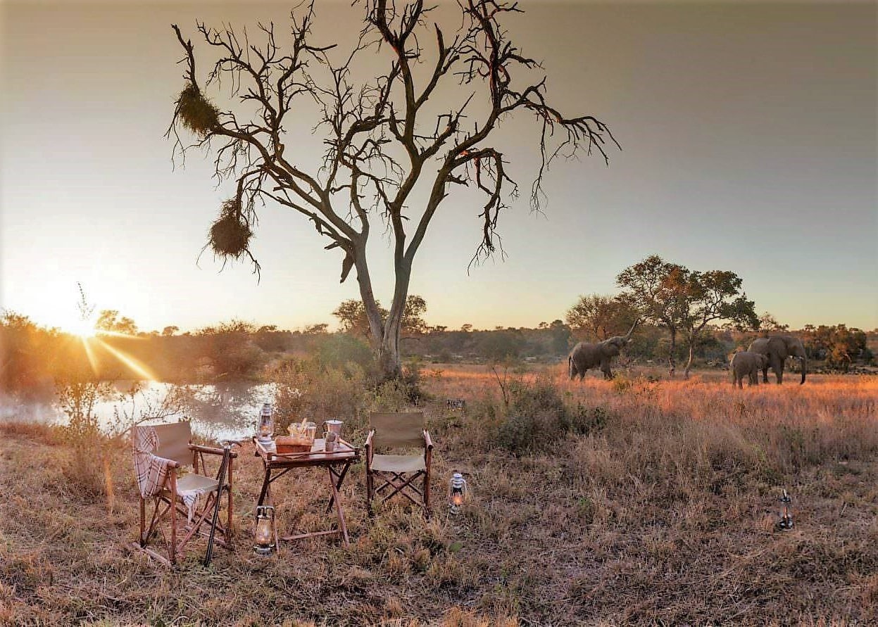 Coffee in the bush with elephants at Kings Camp