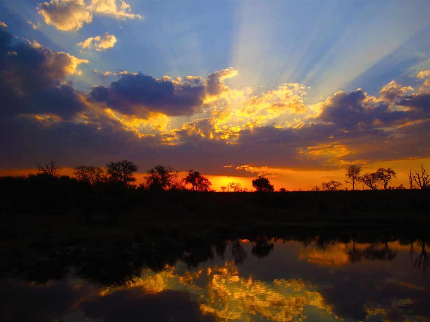 Sunset at Londolozi