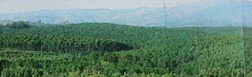 Wolkberg's iron mountain, 1992